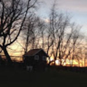 Meet your Posher, Carmen